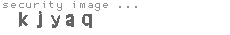 security image