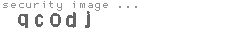 security image