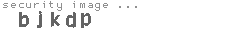 security image