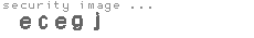 security image