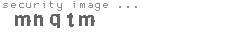 security image