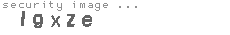 security image