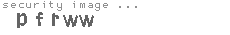 security image