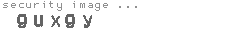 security image