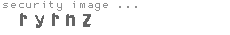 security image