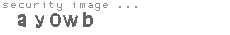security image