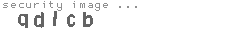 security image