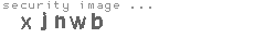 security image