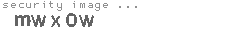 security image