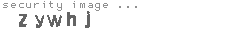 security image