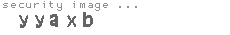 security image