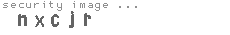 security image