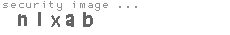 security image