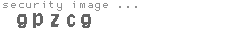 security image