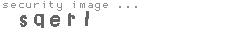 security image