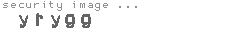 security image