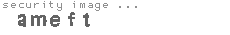 security image