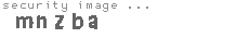security image