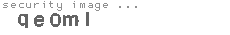 security image