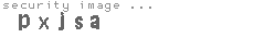 security image