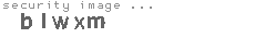 security image