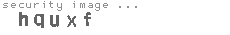 security image