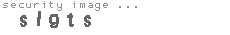 security image