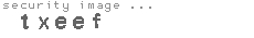 security image