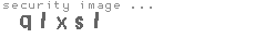 security image