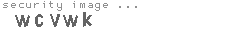security image