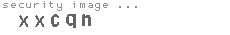 security image