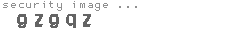 security image