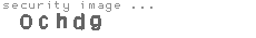 security image