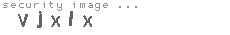 security image