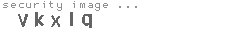 security image