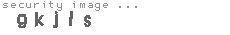 security image