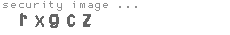 security image