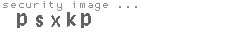 security image