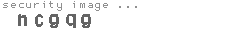 security image