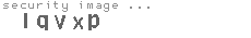 security image