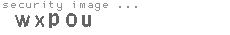 security image