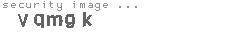 security image