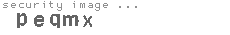 security image