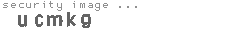 security image