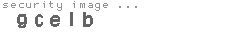 security image
