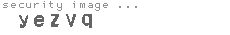 security image
