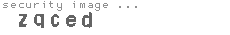 security image
