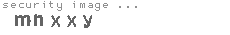 security image