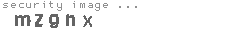 security image