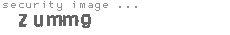 security image